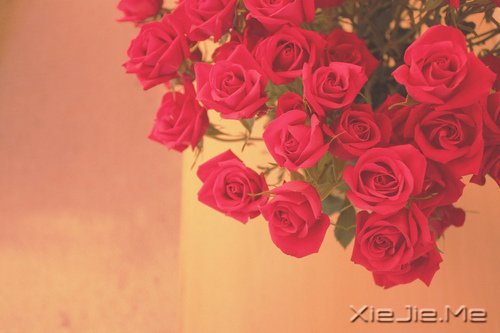 ������һ�ױ��������ĸ裬���Ƕ����Ǹ�������� (3)