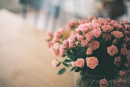 时光如此珍贵,只是我们一去不回 (2)