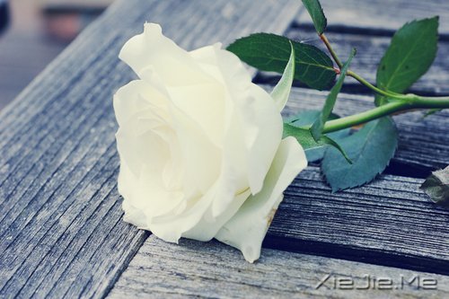 ��һ����������ʧȥ��60��Ŀ��� (4)