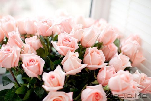 �簲��������������Ҹ��Ǽ������˰������� (9)