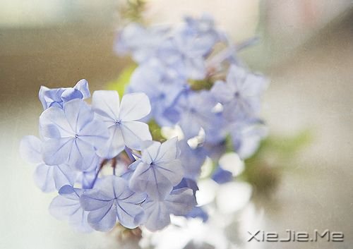 ��������ഺ������ʹ��ȴ�����޷��� (4)