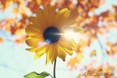 �簲�����ǿ���ϣ��������� (10)
