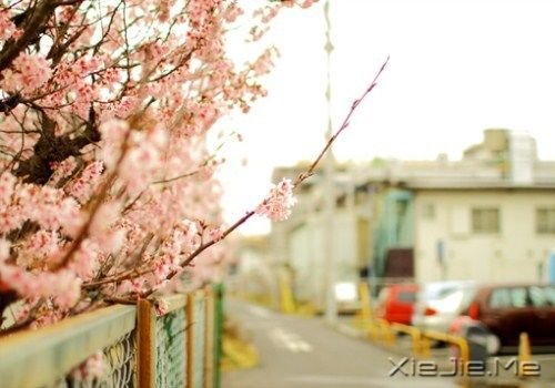 �簲���������ҵ��ģ�������ס������ (6)
