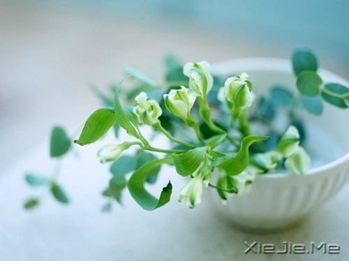 ����������䵣��δ�����������ںú�Ŭ�� (2)