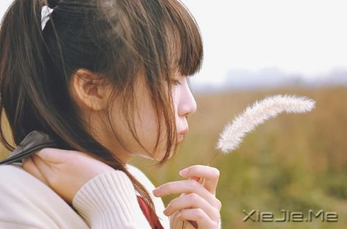 关上门,各自有各自的幸福或眼泪 (1)